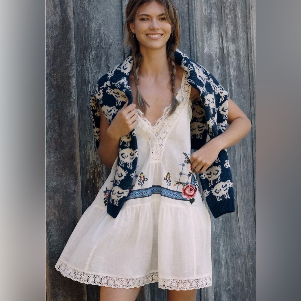 LyreBird Lacy Trim Embroidered Mini Swing Dress